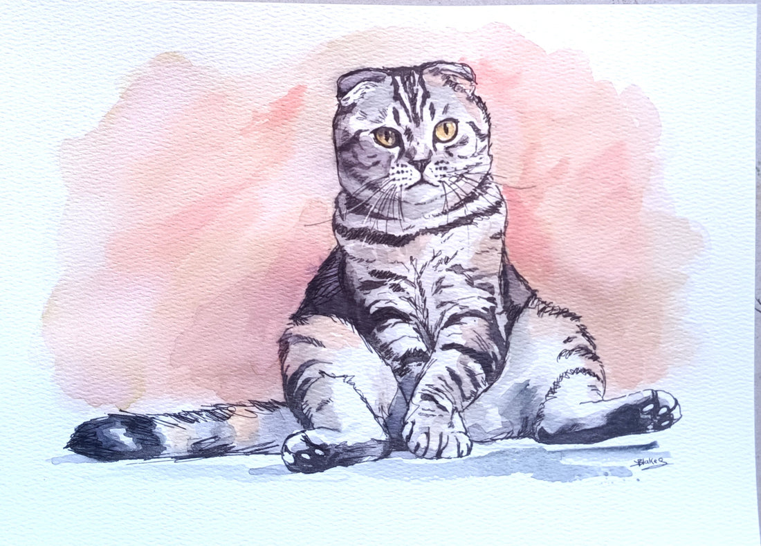 Original watercolour portrait of a seated grey tabby cat