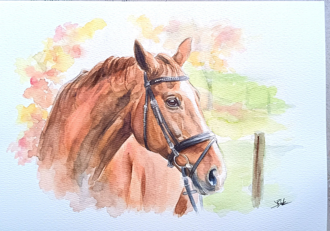 Hand-painted horse watercolour portrait from a photograph