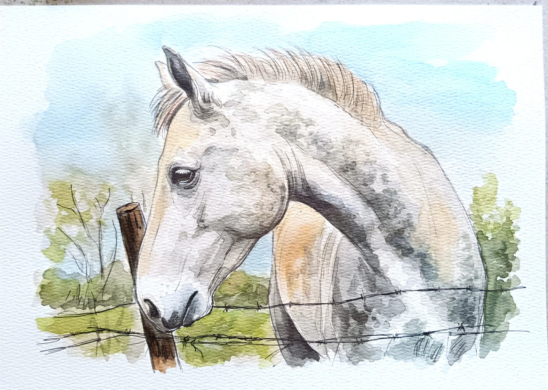 Personalised horse portrait hand-painted from your photo