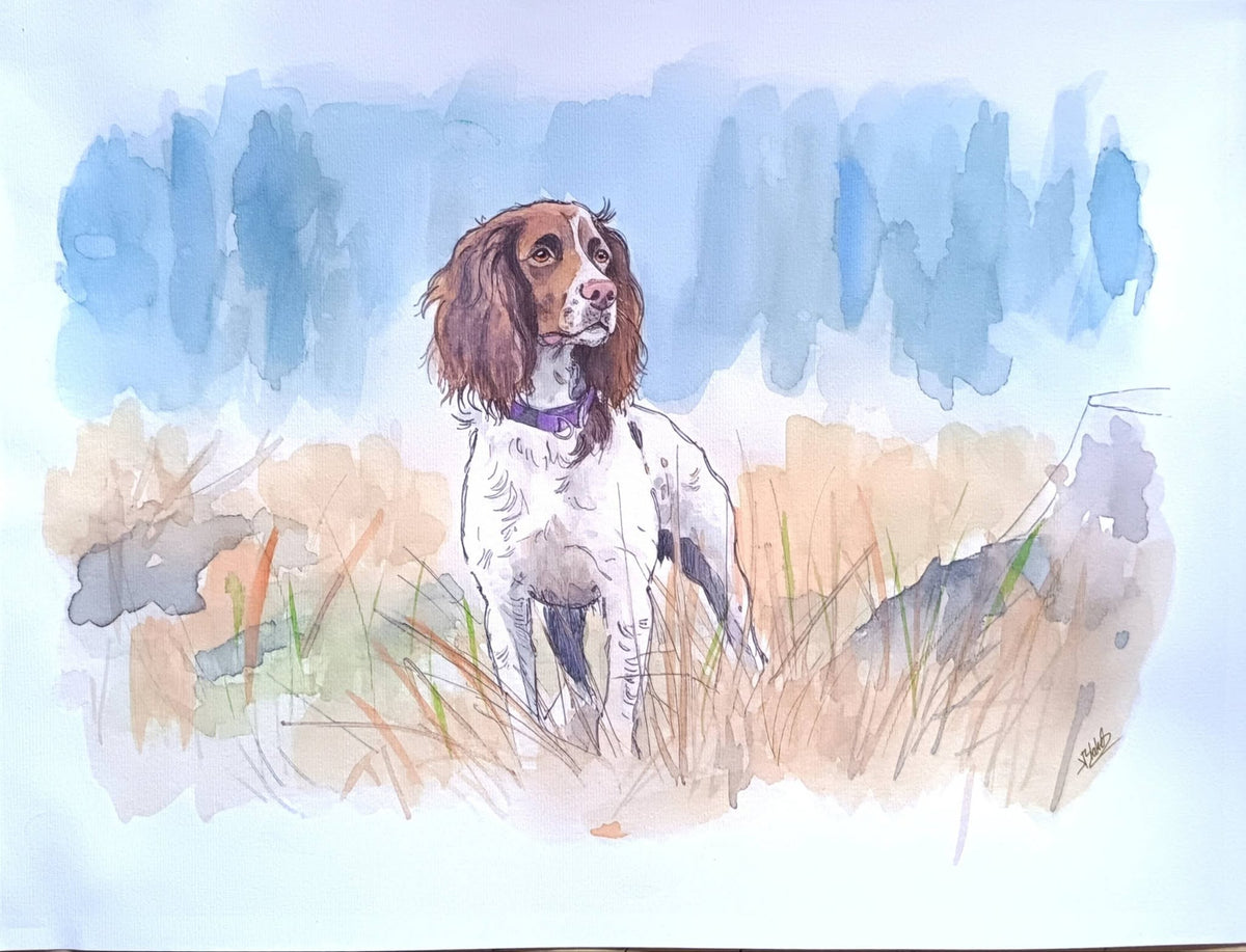 Hand-painted watercolour Springer Spaniel dog portrait