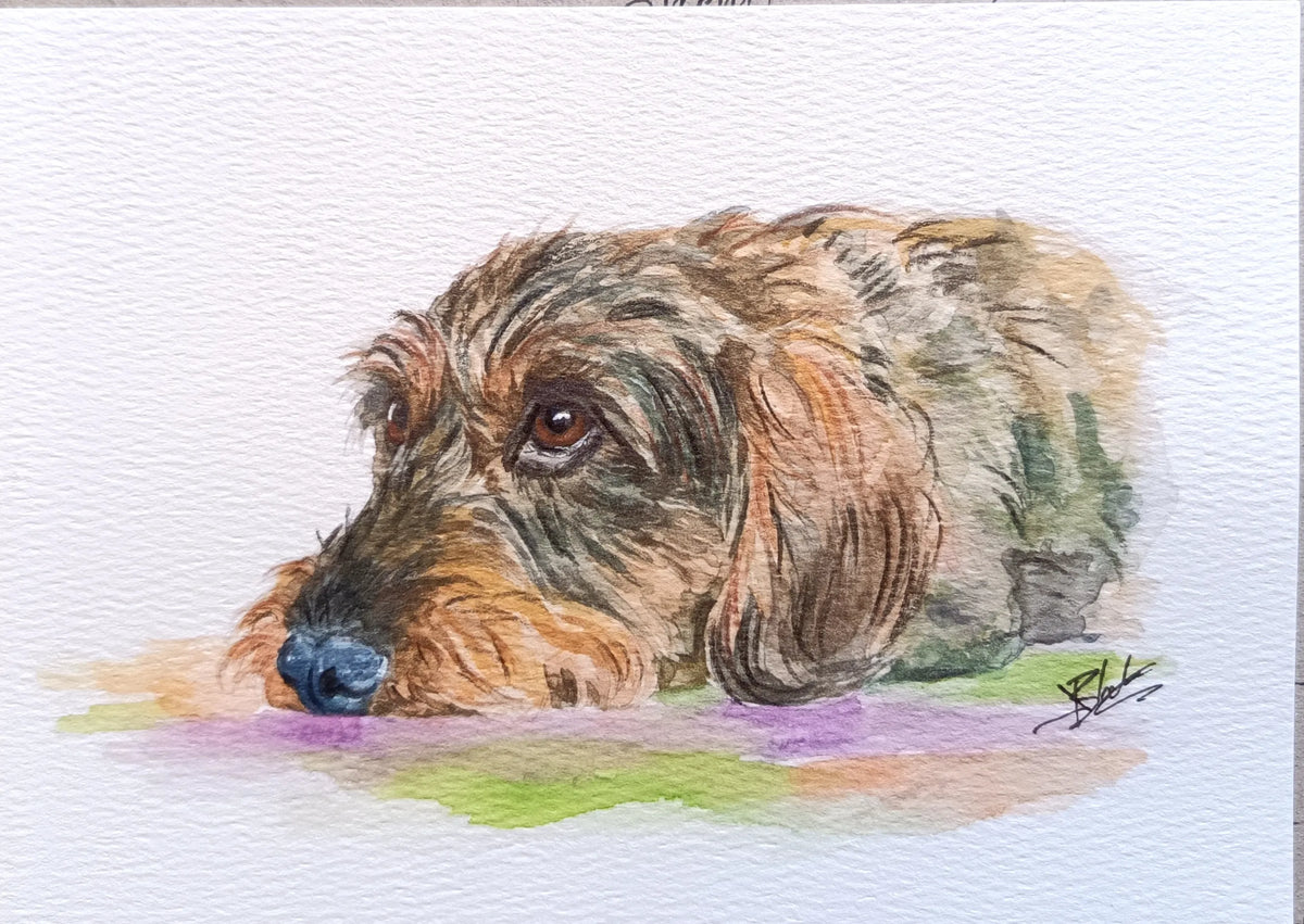 Watercolour Pet Paintings