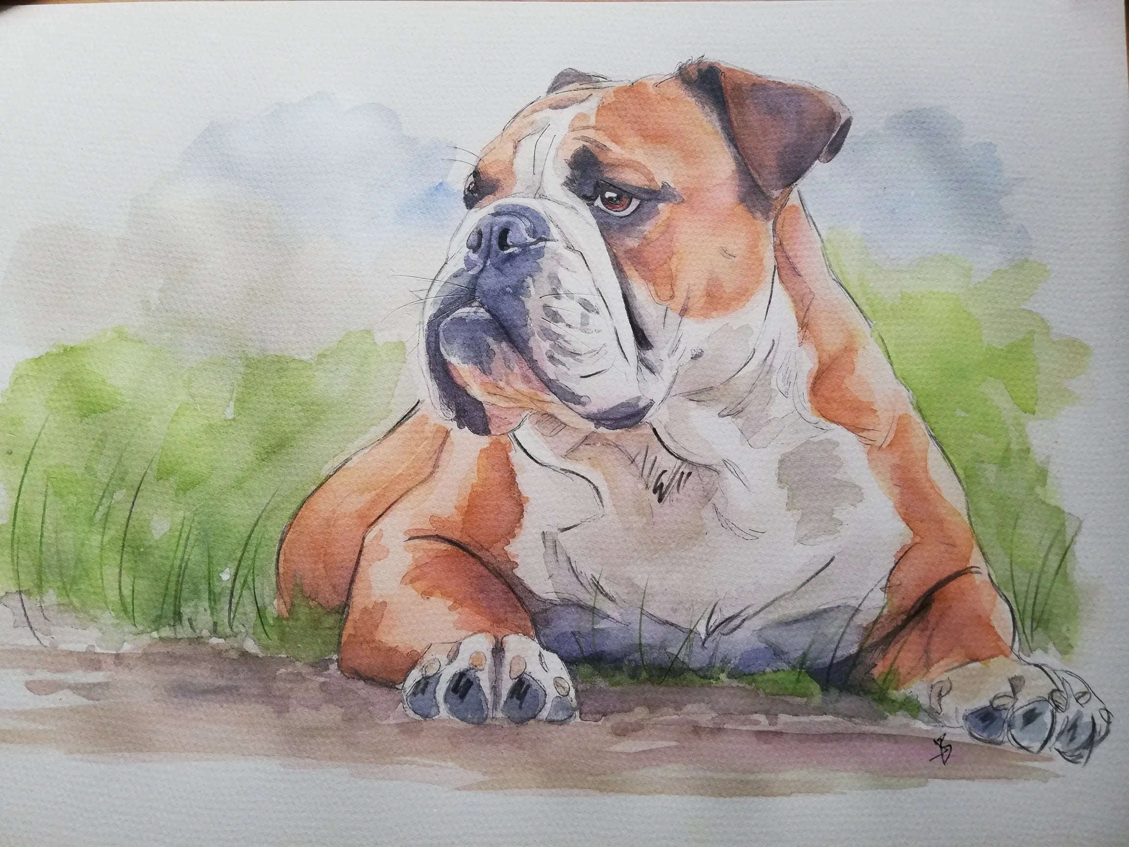 watercolour pet portraits ear you