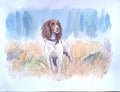 Watercolor painting of a brown and white dog standing in tall grass with a blue watercolor background.