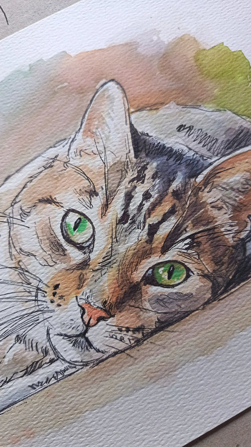 Personalised Cat Portrait — Hand-Painted From Your Photo