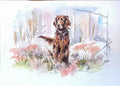 Art on a Wall Red Setter watercolour painting of a dog in a field