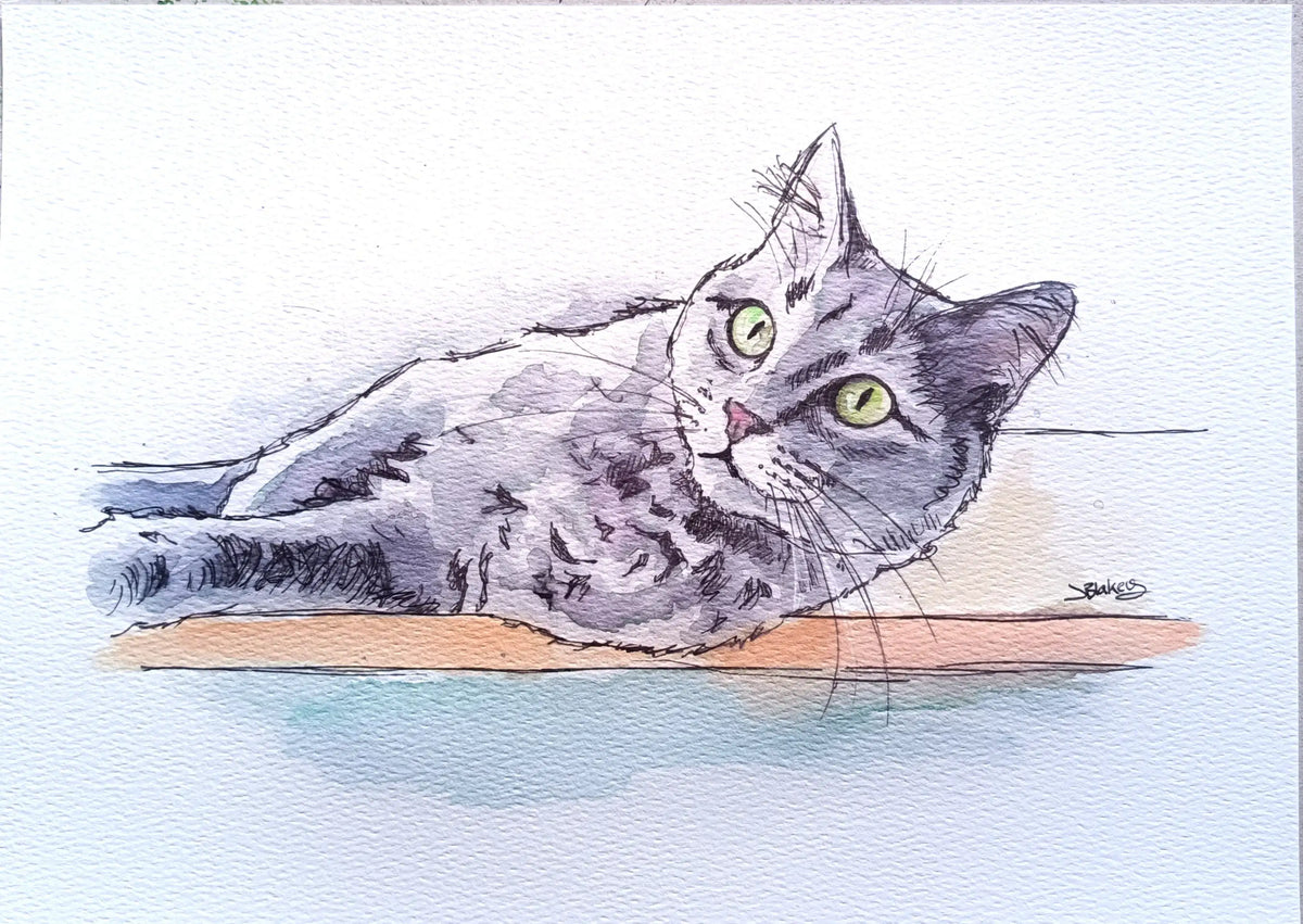 Art on a Wall cat watercolour portrait showing a grey cat resting on a surface