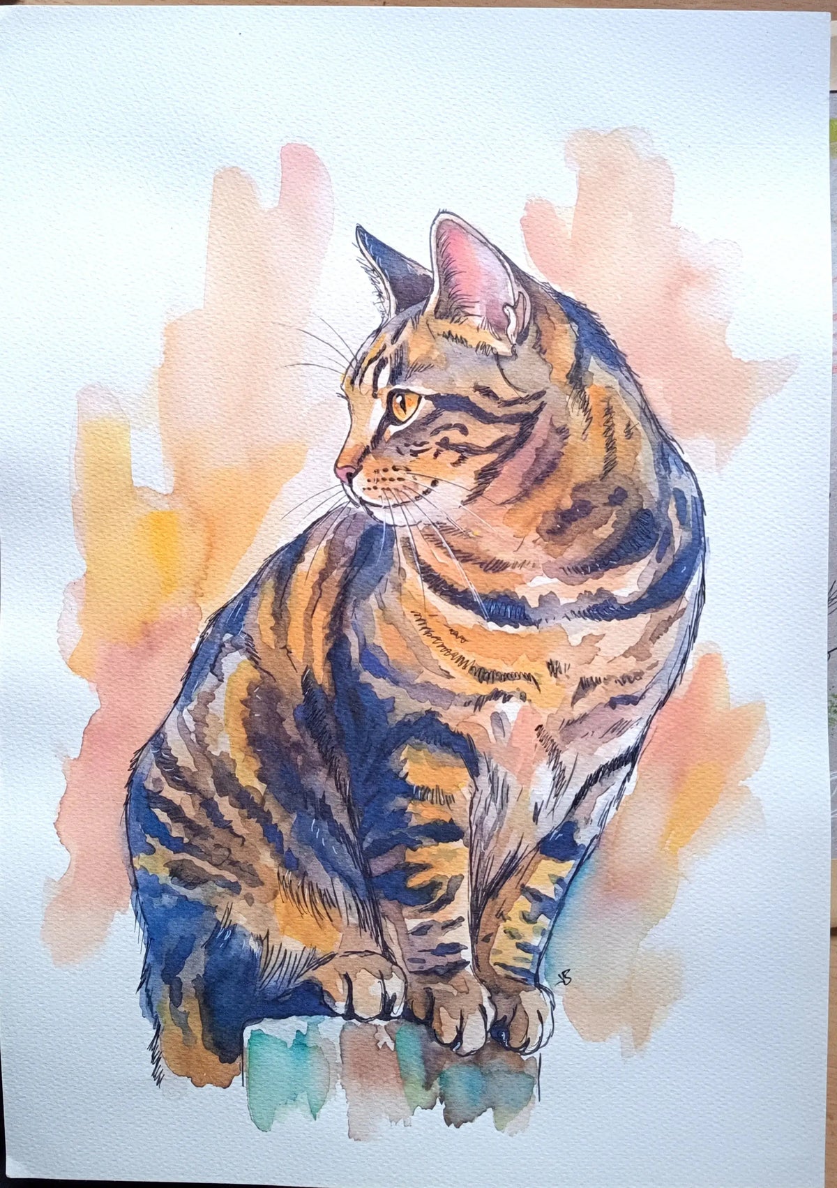 Art on a Wall cat watercolour portrait showing a brown tabby cat sitting against a soft orange wash background