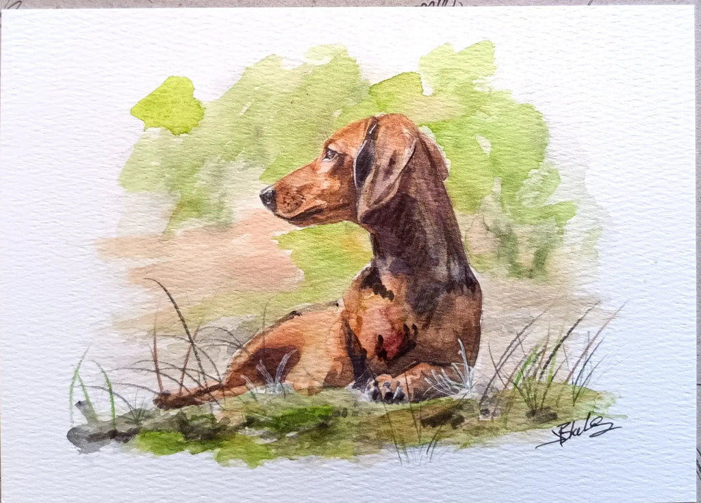 Art on a Wall watercolour pet portrait of a brown dachshund lying in grass