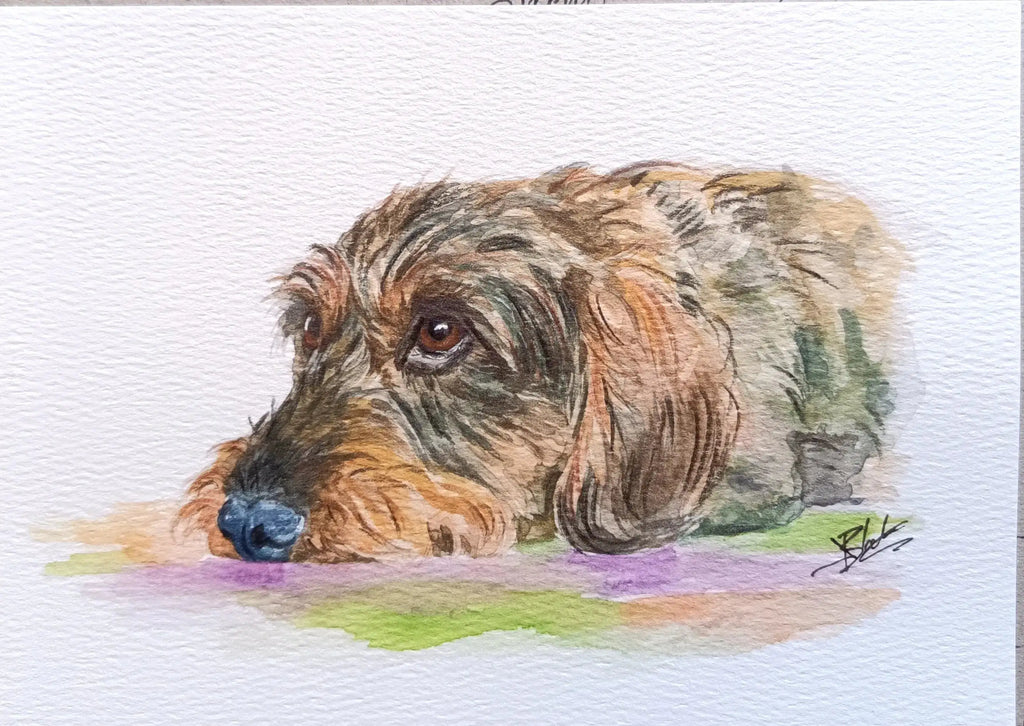 Art on a Wall custom watercolour pet portrait of a wire haired dachshund resting on a textured paper background