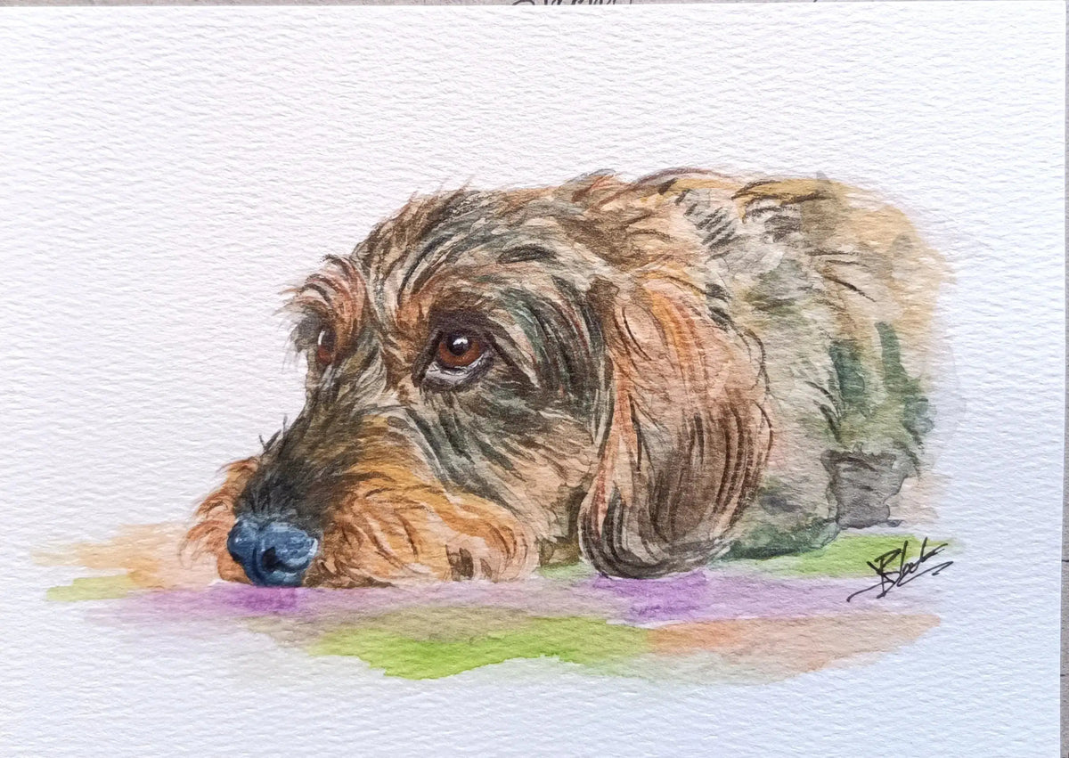 Art on a Wall custom watercolour pet portrait of a wire haired dachshund resting on a textured paper background