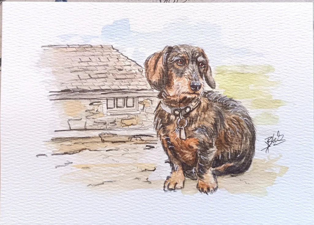 Art on a Wall watercolour pet portrait of a wire haired dachshund sitting in front of a stone building