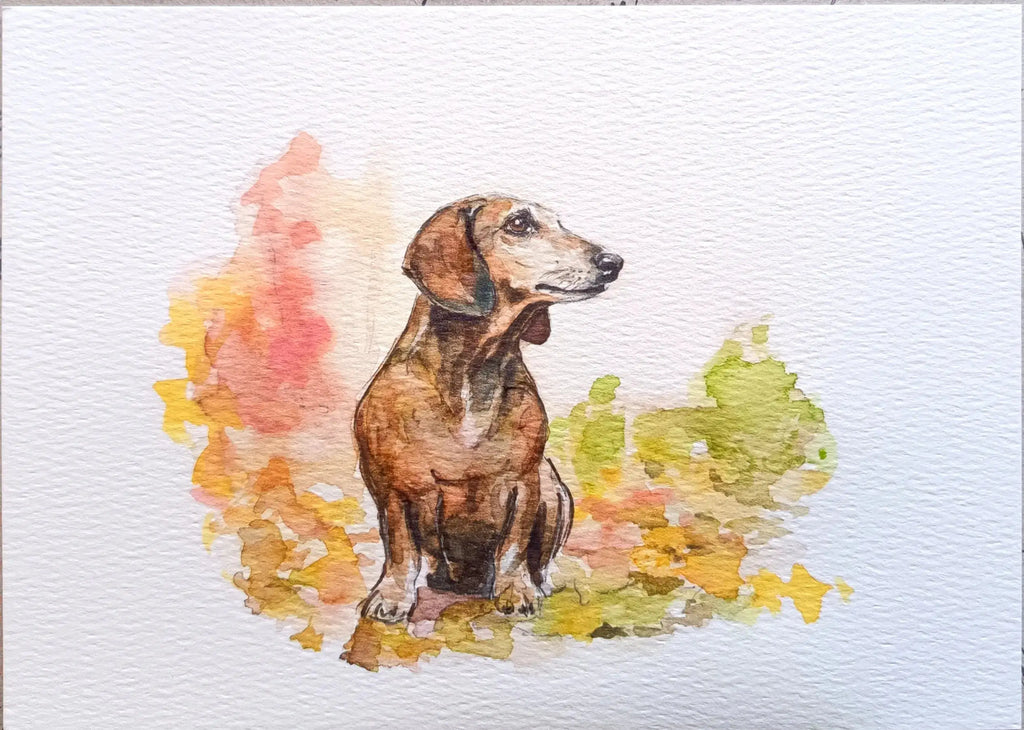 Art on a Wall watercolour pet portrait of a dachshund on textured paper