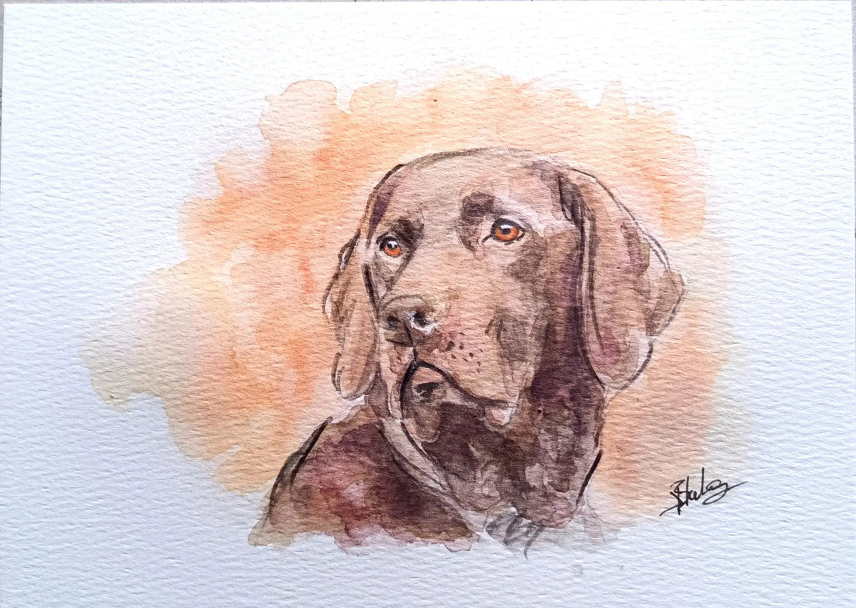 Art on a Wall watercolour pet portrait of a brown dog on textured paper